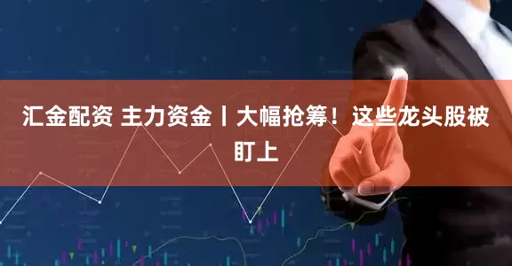 汇金配资 主力资金丨大幅抢筹！这些龙头股被盯上